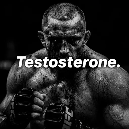 Testosterone