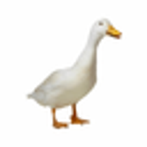 GOOSE