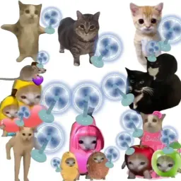 catrot