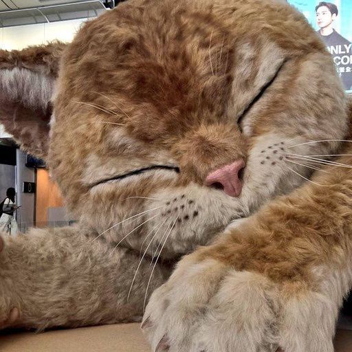CATZILLA
