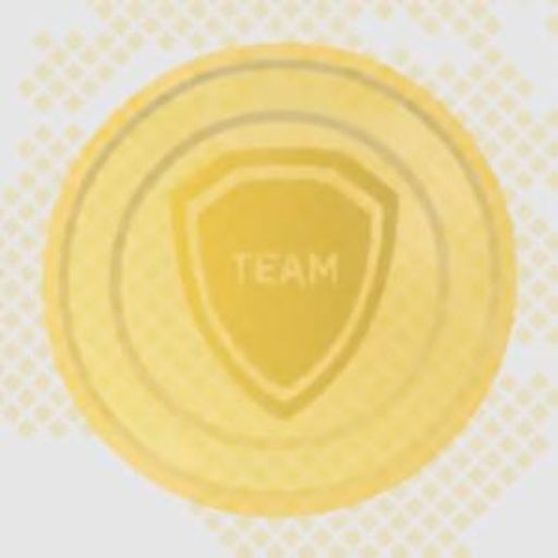 TEAM
