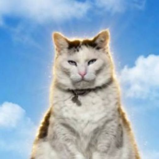 mogcat