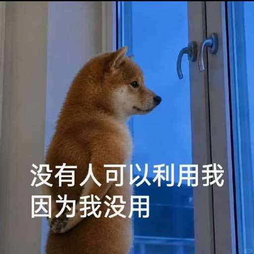 负狗