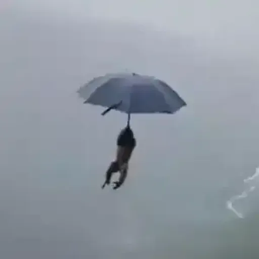飞天猴