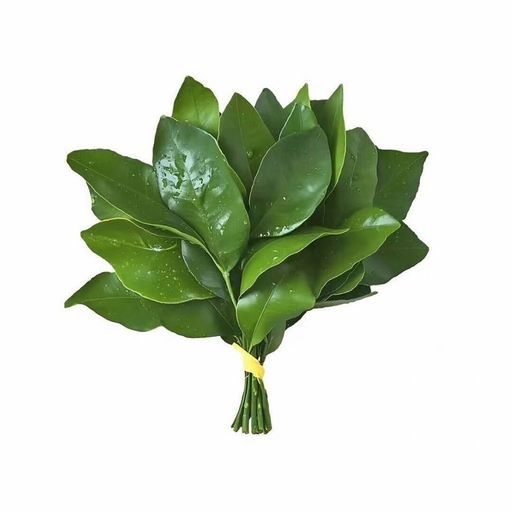好运连连
