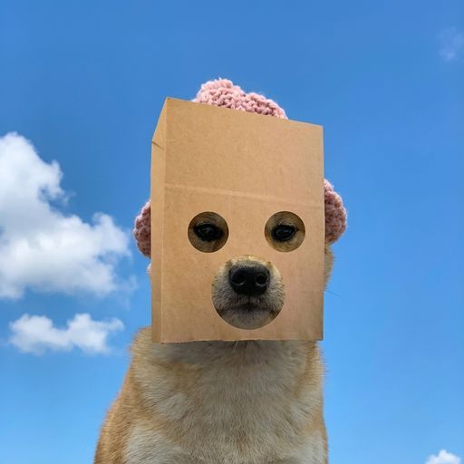 notwif