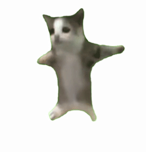 Happy猫