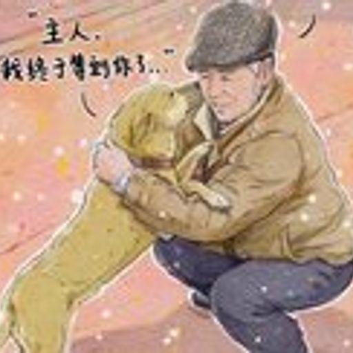 豆豆