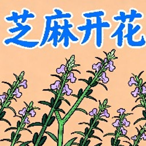 芝麻开花