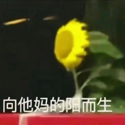 操蛋的世界
