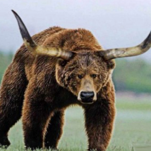 BullBear