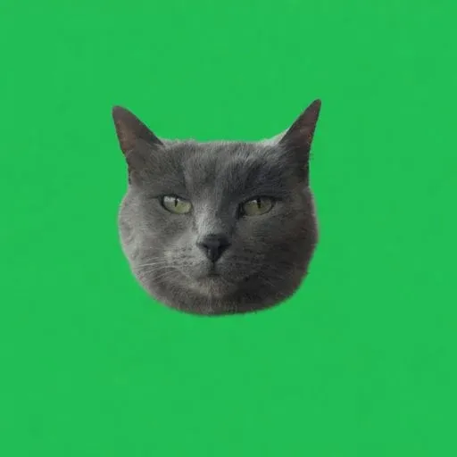 LILBIT