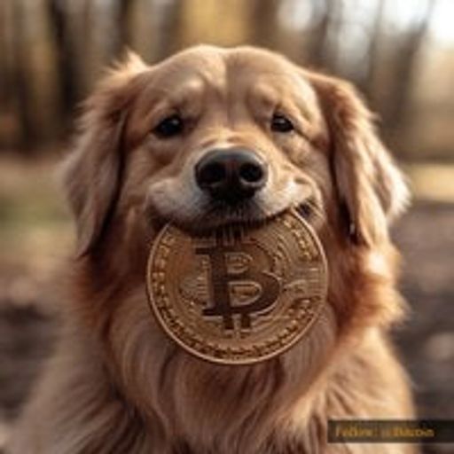 bitdog