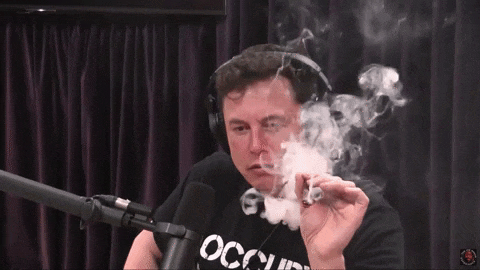 Elon