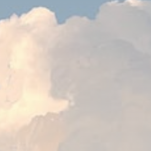 ICARUS
