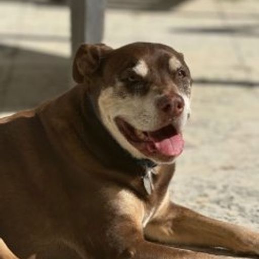 Lua