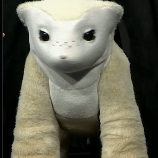 wwwwwwwwww
