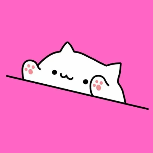 BONGO