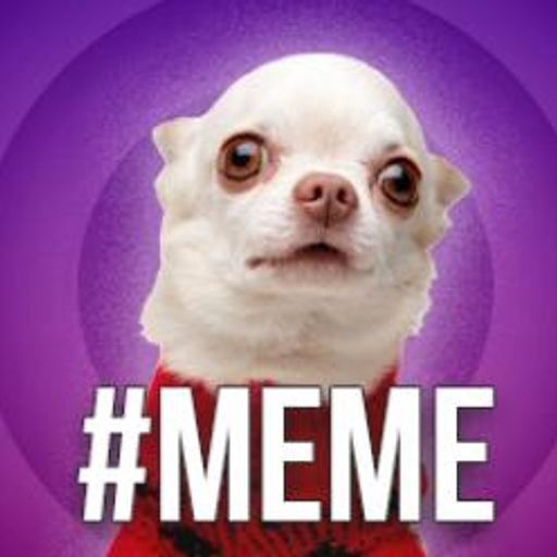 MEME
