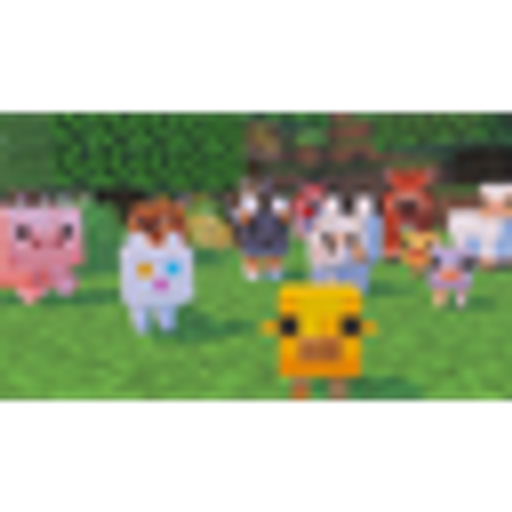 Animals 