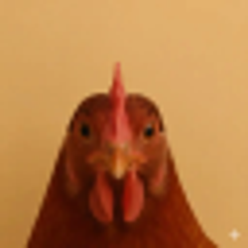 Cock