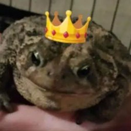 Blorbus