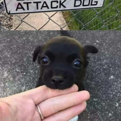 BOA