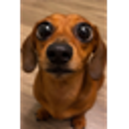 Doug 