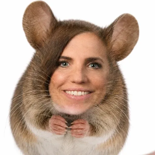 MICE