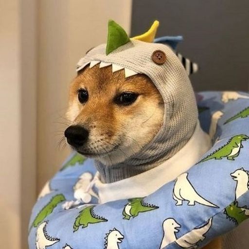kabosu