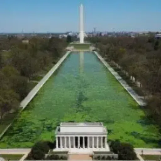 Swamp