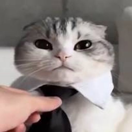 MUFU