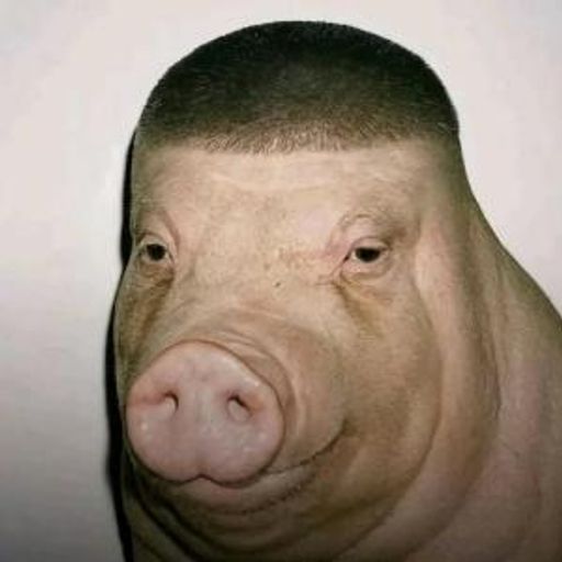 Pigger