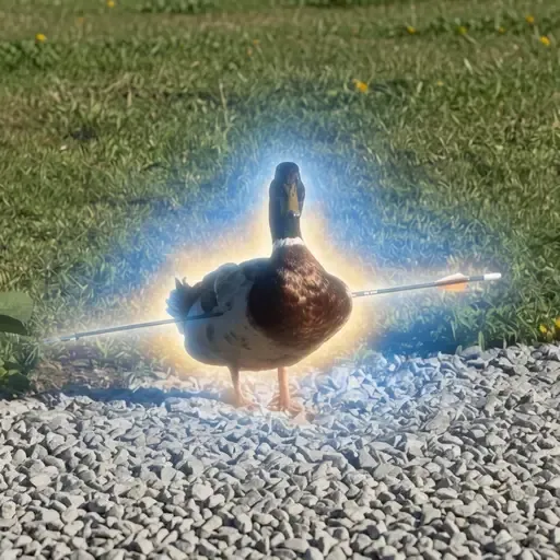 Duck