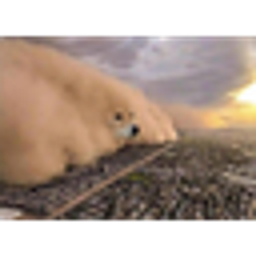 DOGESTORM