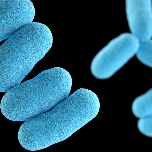 Diphtheria 