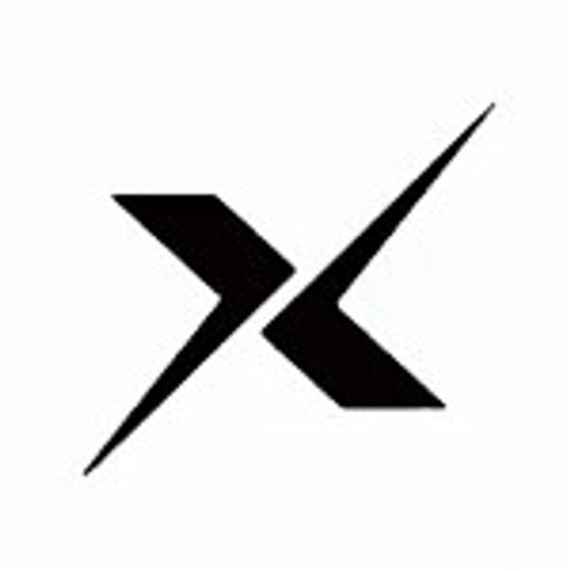 X党