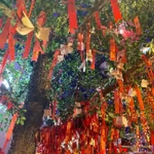 许愿树