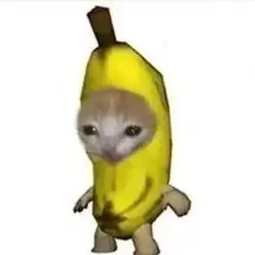 香蕉猫