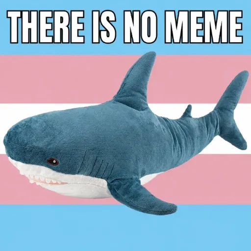 ㅤㅤㅤㅤ