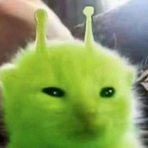 外星猫