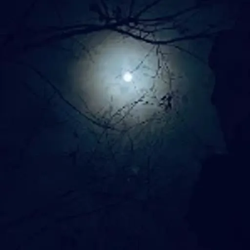故乡月