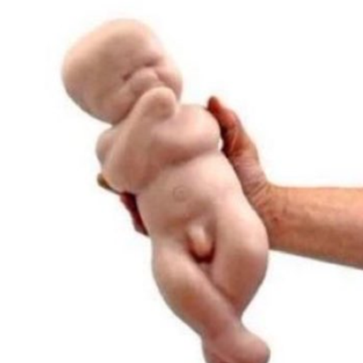 ButtBaby