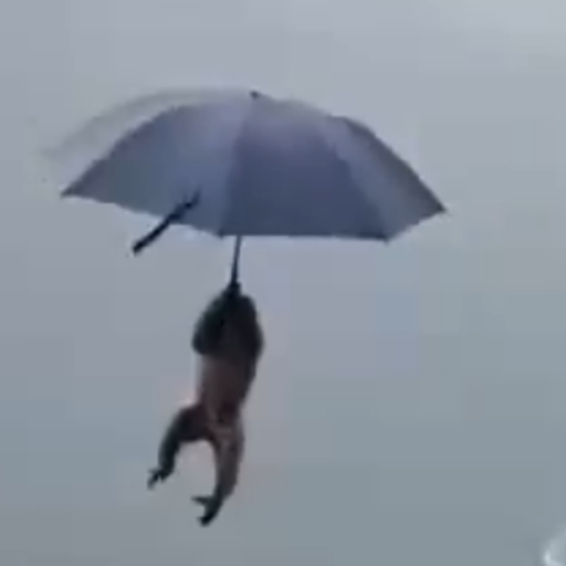 大圣