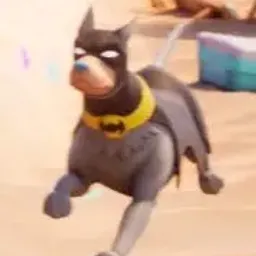 ACE