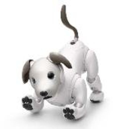 AIBO