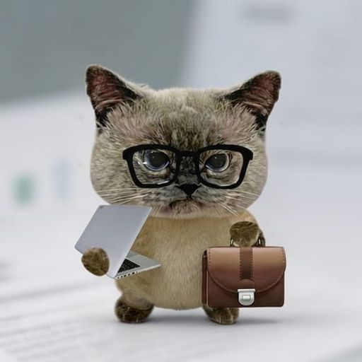 bizcat