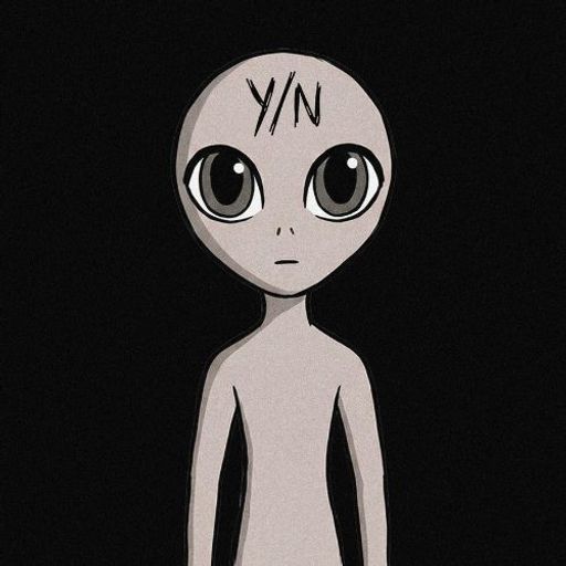 Y/N