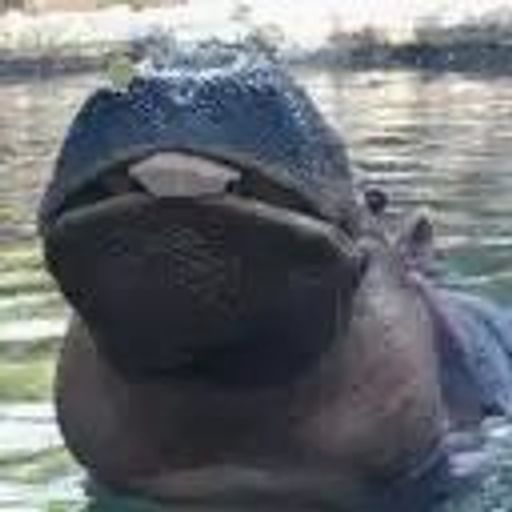 FIONA
