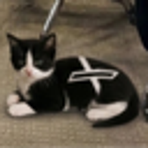 XCAT